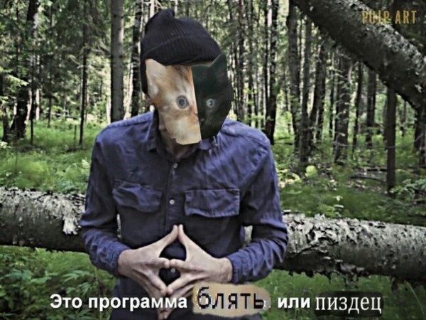 _ghasoLine_'s tweet photo. это я сижу и думаю с какого ругательства начать твит https://t.co/s3IIbU1xsE