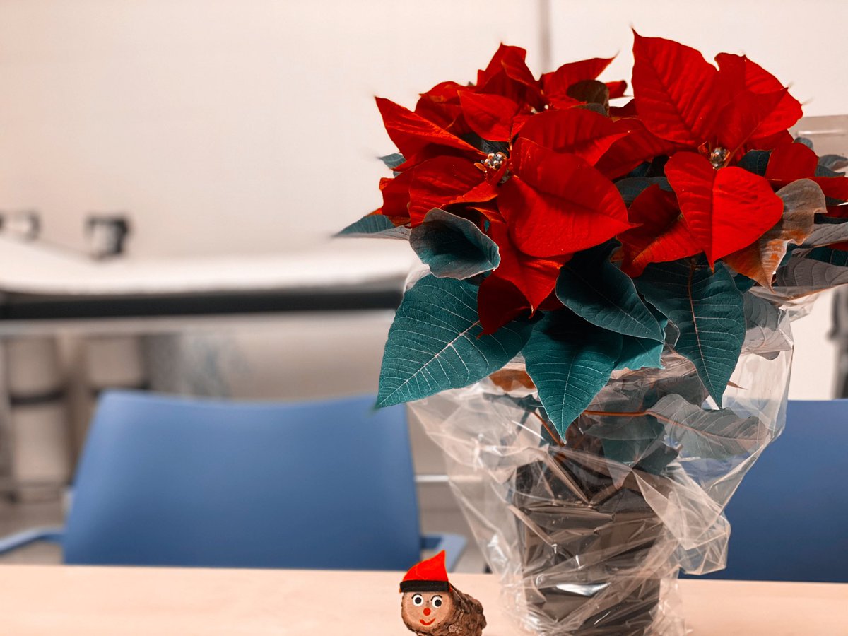 annavallsurena's tweet photo. Nadal diferent.
Ser infermer/a és més que una professió. Consulta decorada, per donar-li color a aquesta situació tan trista que estem vivint✨
La millor professió🤍
#cuidardelespersones
#infermeria
#feliç
#guardies https://t.co/VSMeyOQJ6Q