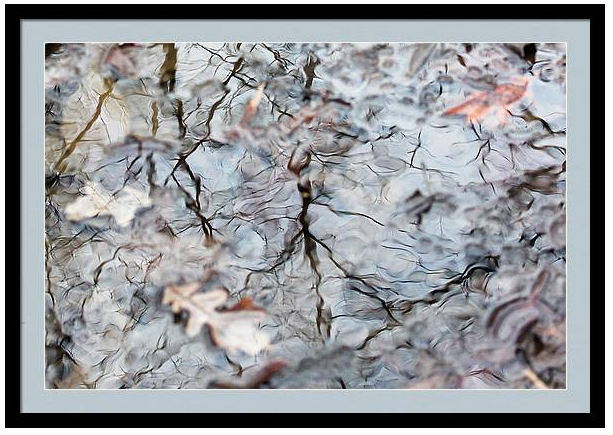 marybedy's tweet image. Wetland Abstract
mary-bedy.pixels.com/featured/1-wet… #wetland #reflection #pondreflection #marybedy