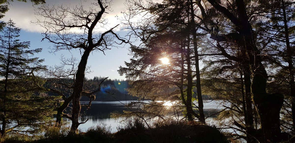 akwindram's tweet photo. Wonderful #Highland walk this afternoon beautiful light #Dalavich https://t.co/xg983YVjJU