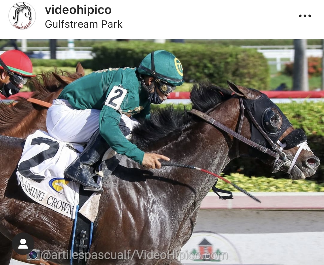 Nuestro Jesus’ Team respondió en el Claiming Crown Jewel Stakes con la monta de <a href="/luissaezpty/">Luis Saez</a> y la preparación de <a href="/JFDAngelo/">Jose F D'Angelo</a> estamos agradecidos con Dios y con nuestro equipo por esta victoria. Foto <a href="/videohipico/">VideoHipico</a>