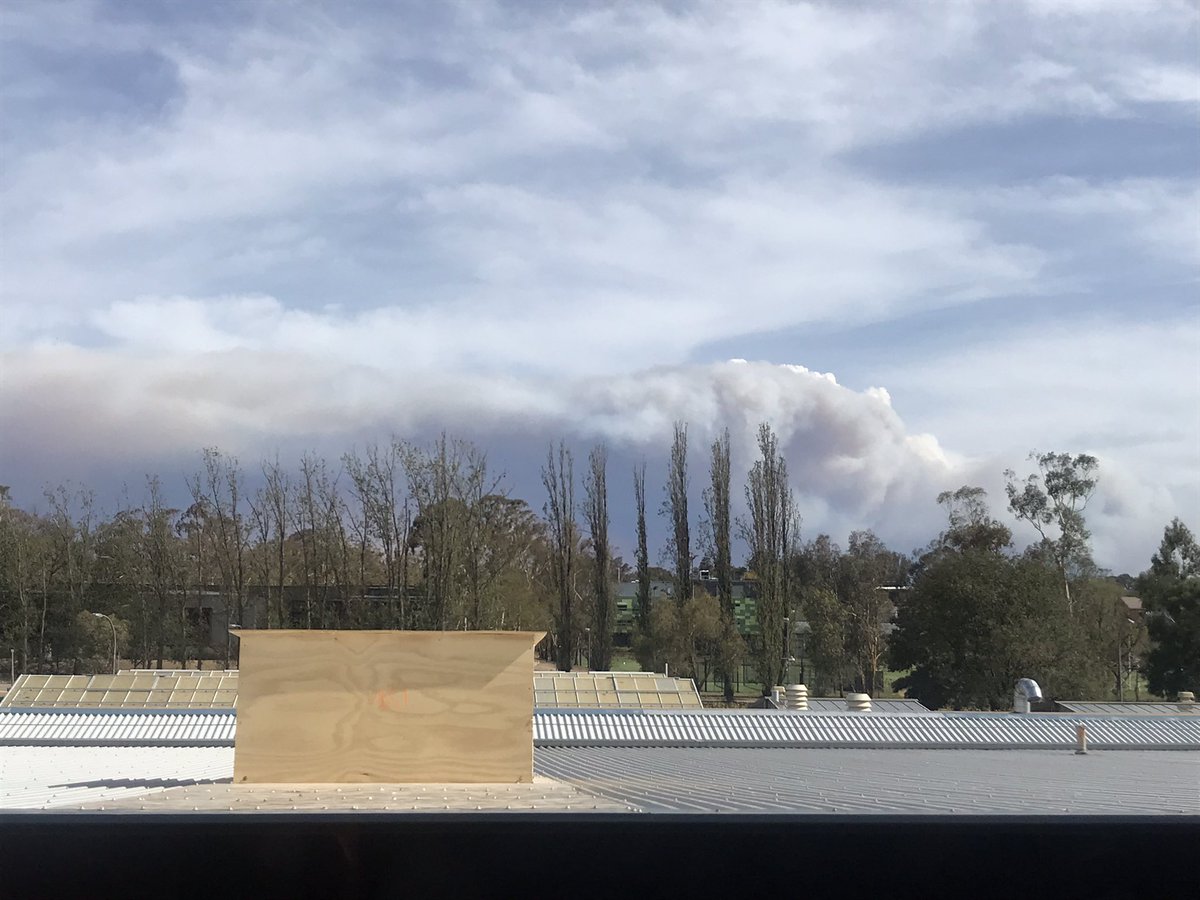 2020 has been a mess for so many reasons... including huge disruptions to OMG lab research. In Canberra, 2020 started with awful bushfires all around, and smoke affecting air quality, causing ANU campus to close. I took this pic of the Orroral fire from  @EcoEvo_ANU seminar room.