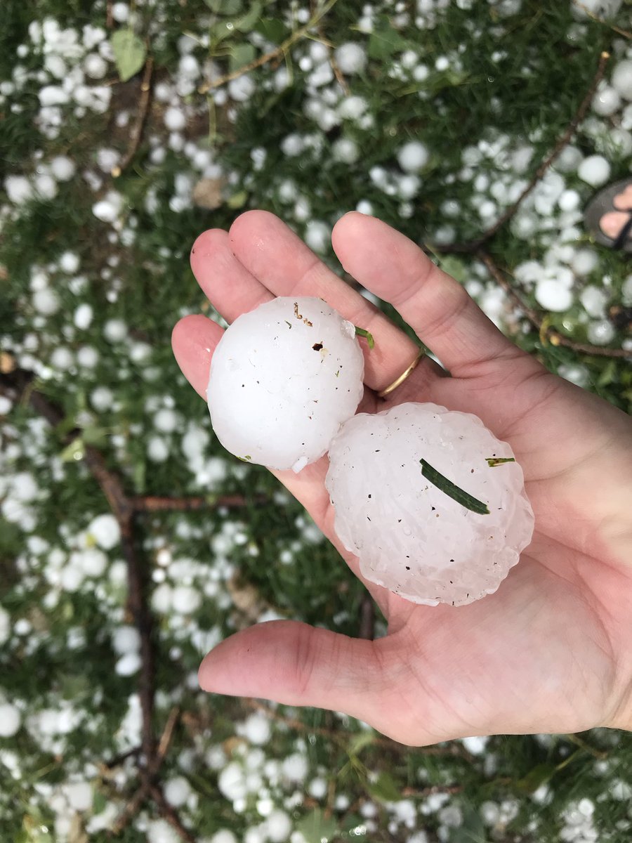 Also in Jan 2020, more disruptions at ANU caused by damage from a hailstorm that passed right over campus (hail broke glasshouses, fume hood exhausts and other research infrastructure, and damaged hundreds of cars on campus) and also over my house (hello insurance company...)
