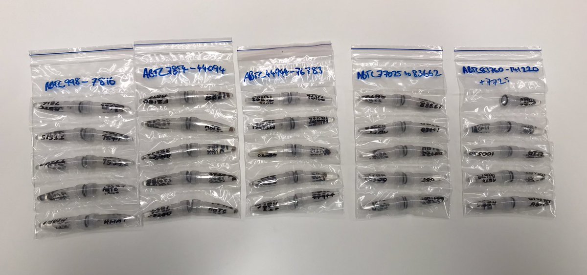 I’ve been sent thousands of samples for OMG, & seen the many ways they are packaged for transport. This is possibly my favourite, with tubes carefully sealed in pairs, IN NUMBER ORDER! inside more protective layers of packaging. Love your work Steve Cooper & Sally South at ABTC!