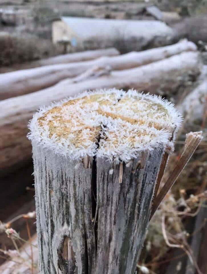 ELDEBATE's tweet photo. #Surutato, #Badiraguato, #Sinaloa, #México a -3 grados❄️

Fotos: Surutato Badiraguato https://t.co/CbCqcBnjqv