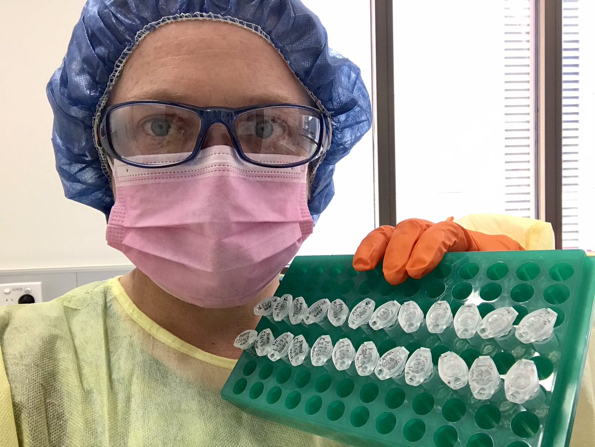 ...which were part of this final batch of marsupial skin DNA extractions I did in the  @EBL_ANU Trace DNA Lab...