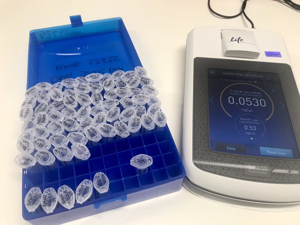 ...quantitative and checking that DNA, which has often been very degraded and poor quality or quantity...