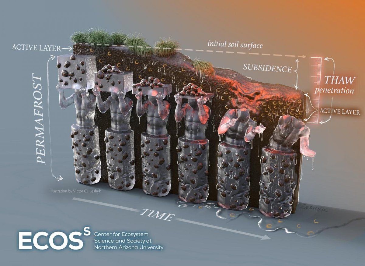  #WorldSoilDay thaw of frozen soils worldwide changes ecosystems as layers of carbon that have lain quietly for millennia suddenly come alive and mobile, sinking and sliding away to escape into rivers, seas, and the air. My  #sciart of this for  @EcossNau  https://phys.org/news/2020-06-stocks-vulnerable-carbon-high-permafrost.html