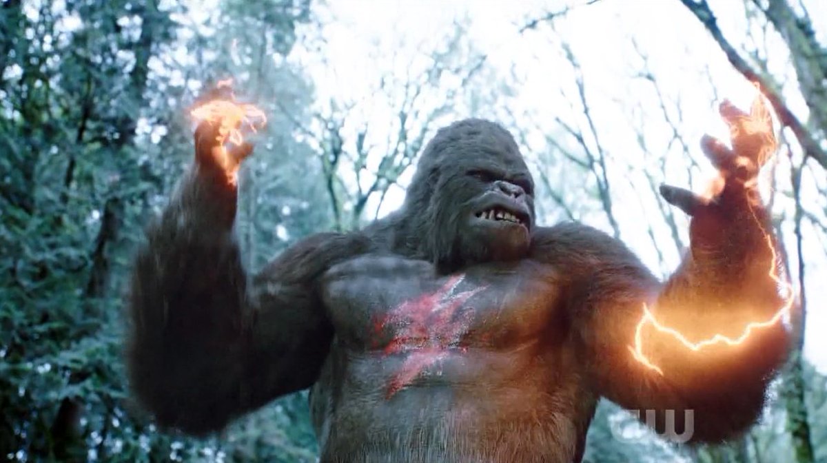David Sobolov - Gorilla GroddThe Flash (2014-)