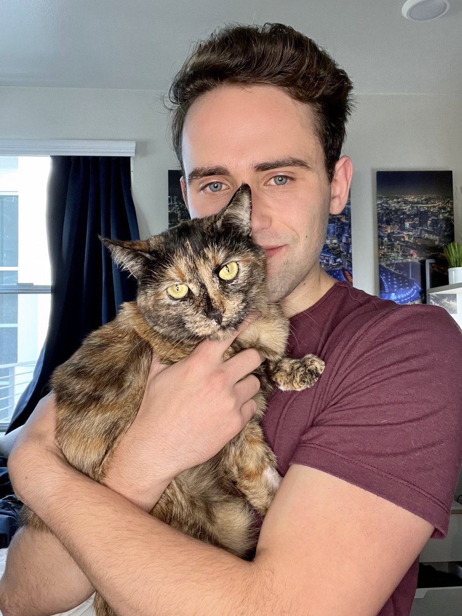 THREAD Here are 5 reasons why you should adopt a senior shelter cat.  Presented by Violet.1. Cats live a long time:Most cats with good care live 15-20 years. Even a 10 year old cat could live with you a decade (or more!) after adoption!1/5