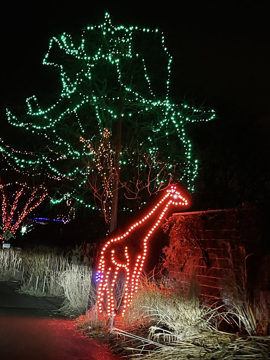 bradbonaroti's tweet photo. The Zoo Lights are awesome!! Thanks for an awesome experience @PghZoo #ZooLights #ZooForAll https://t.co/u3ZONwG2ng