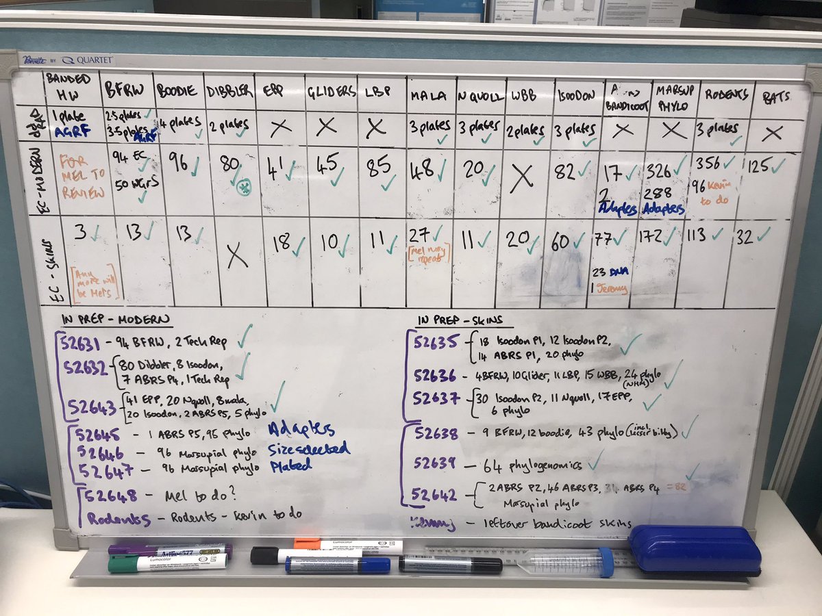 ...plus admin and project management... but very satisfying to see my OMG whiteboard suddenly getting populated with lots of green ticks 