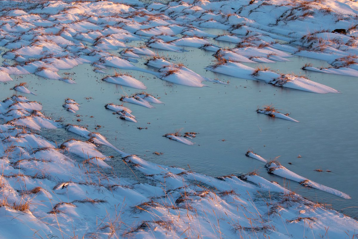 bd_matrix's tweet image. So I was supposed to be going home tomorrow, but instead I&apos;m enjoying the Westfjords of #Iceland! Had a magical (but very long) drive today to Ísafjörður, the sun just above the horizon. fiverr.com/s2/7fa86b26fc