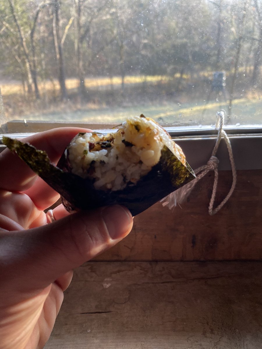 CountryboyDh's tweet photo. I’ll guarantee this is the only blind in KY where we eat onigiri and turkey hunt. Bet. #japanesewifejapaneselife #turkey #smellslikefish https://t.co/bH206N3eW9