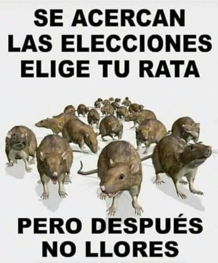 megillones's tweet photo. YO NO VOTÓ El #Socialismo Es Un #Cancer #Venezuela #SinGas #SinGasolina #SinLuz #YoNoVotoEl6D #SmartmaticFraud #SmartmaticCorruption #SinMoneda https://t.co/Kwx85NupAy