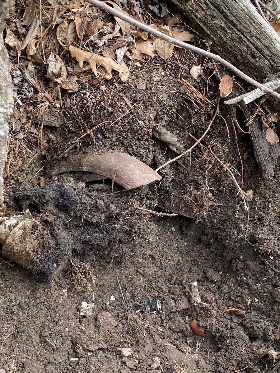 {thread} There’s an old motorbike buried there and we’re bringing it up a piece at a time. Wonder how much of it we’ll find? (Fender, kick start and we also located the fuel tank)!!