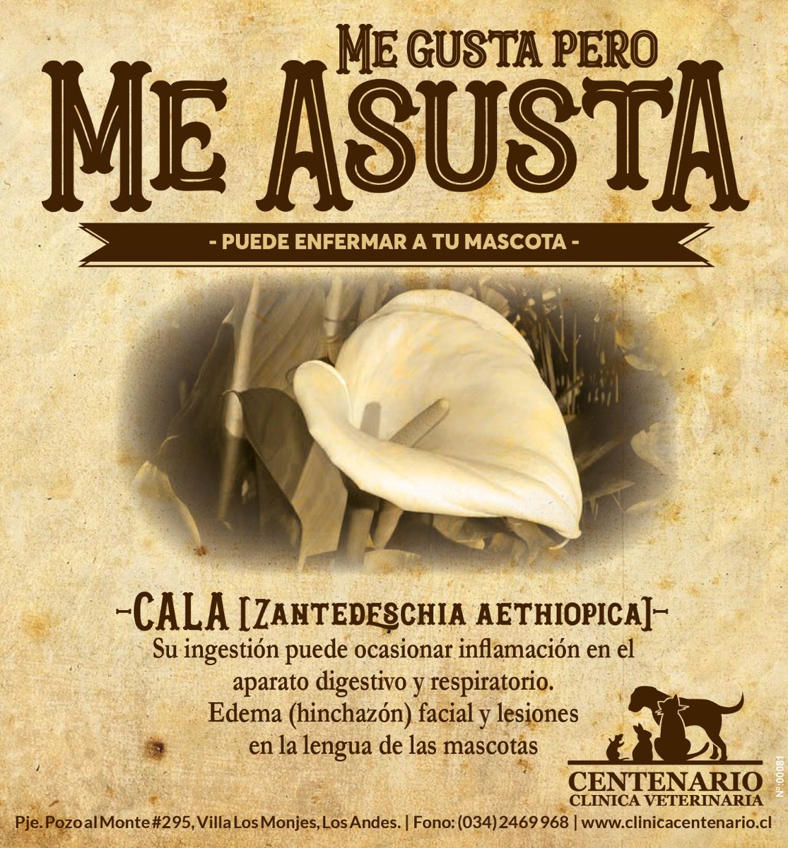 vetcentenario's tweet photo. https://t.co/YUEo7K7JSQ