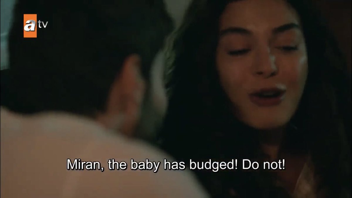 they went from cute to horny real quick akskkskdk  #Hercai  #ReyMir
