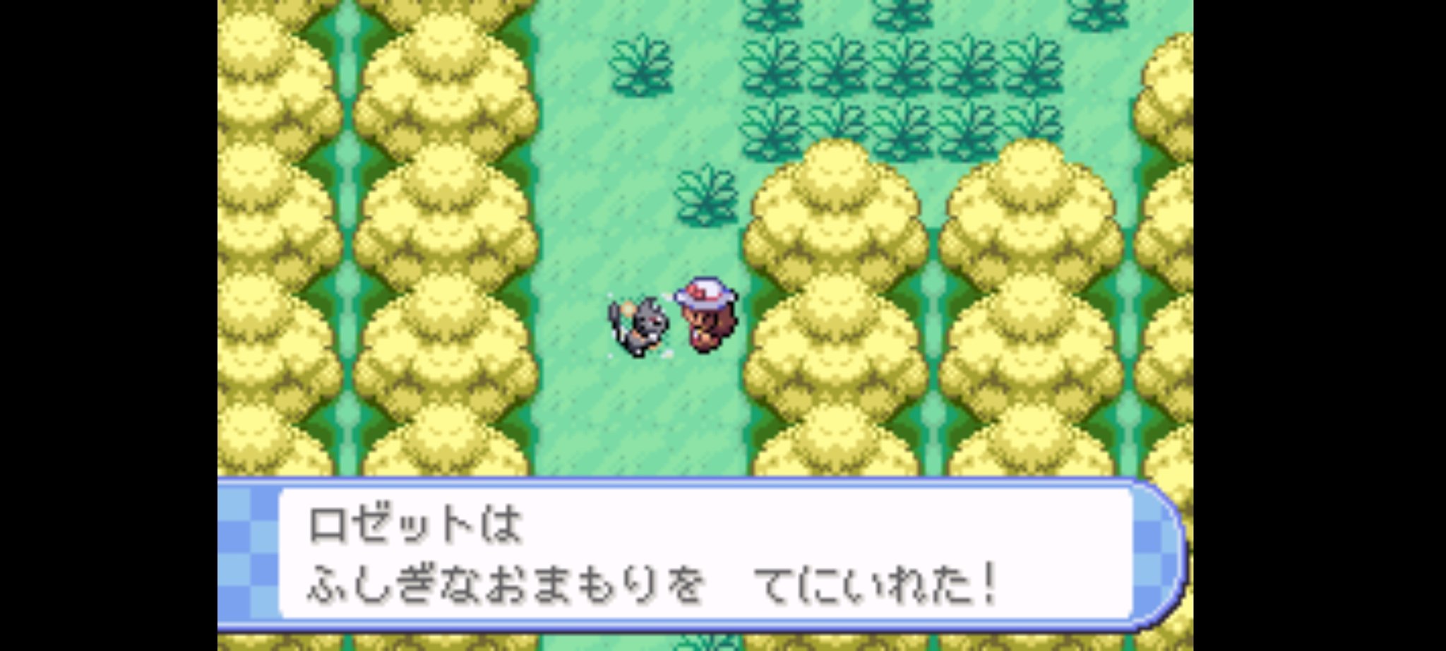 まる ｼﾞｮﾉﾚﾗ減らせ でもペラメの名前思いつかなかったからってマッギョにした私に言えたことじゃなかったな とりあえずライバルちゃんとお別れして洞窟の中へ 今回も 看板の精 は大ハリキリで落書きしているようで T Co P3uuj9ekyj Twitter