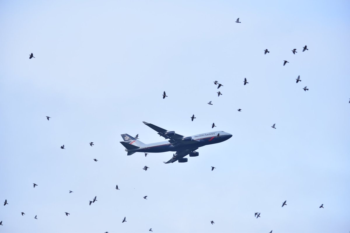 PlasmaUkt's tweet photo. G-BNLY’s final landing here to Dunsfold. A teary eyed moment for me but fantastic news she has been saved and will join G-BDXJ &amp; G-CIVW witn a total of 3! Here’s my photos of it and also a thread I’d like you to read. https://t.co/voFB6Rg9oz
