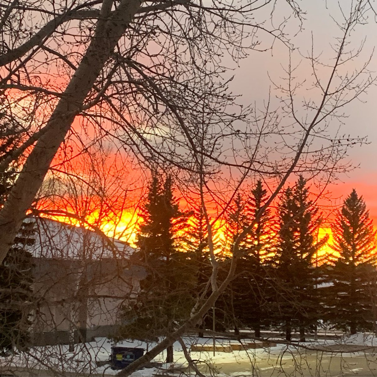 Enjoying a beautiful evening in Red Deer! #winterdecktime #sunsets <a href="/mikesobel/">Mike Sobel</a>