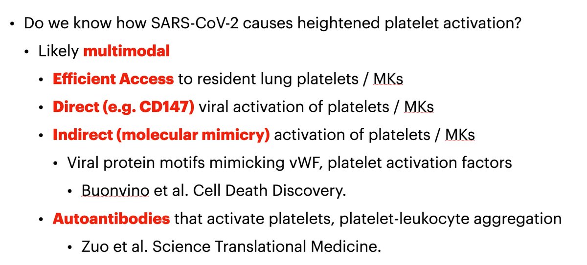 In addition to this direct viral action on platelets, there are likely other pathways that lead to further delayed platelet activation, including 𝗺𝗶𝗺𝗶𝗰𝗸𝗿𝘆 of host pro-aggregant factors, and 𝗮𝘂𝘁𝗼𝗮𝗻𝘁𝗶𝗯𝗼𝗱𝗶𝗲𝘀 that further activate platelets.