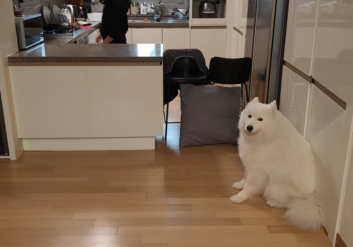 엄마가 요리하는데 자꾸 음식훔쳐가서 방벽세움.