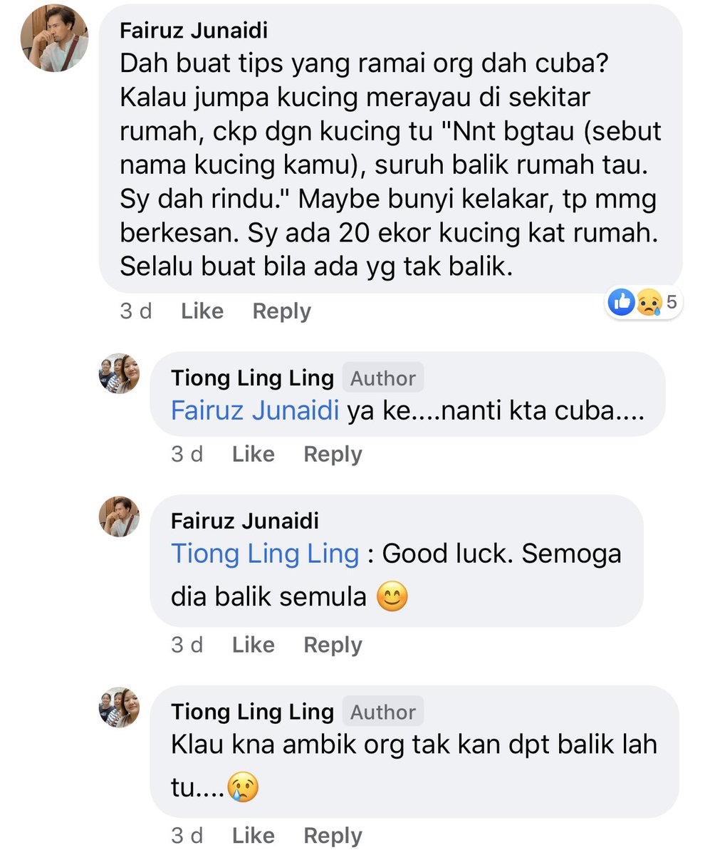 callmefye's tweet photo. Kucing hilang x balik umah? Percayalah tips ni berkesan. 🤣 https://t.co/oklu60OMpS