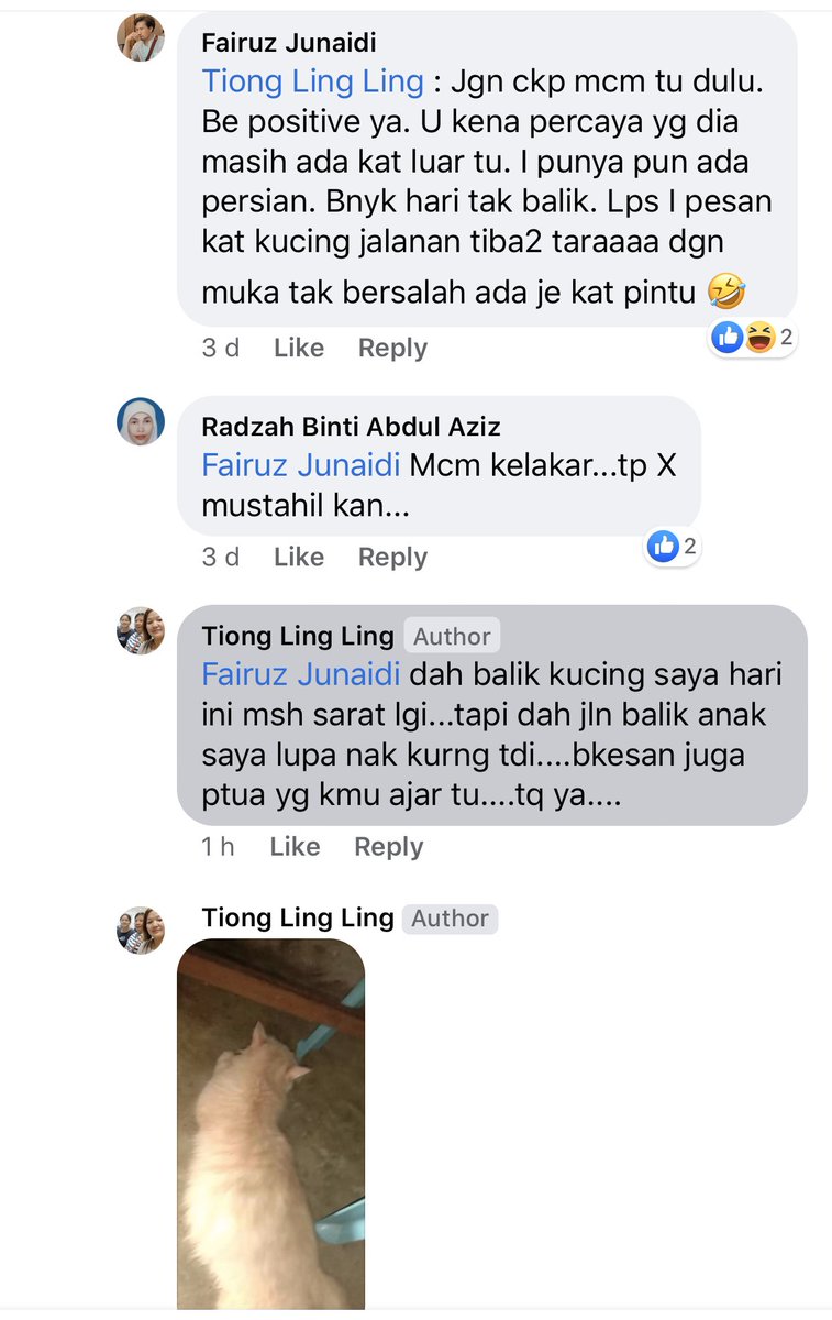 callmefye's tweet photo. Kucing hilang x balik umah? Percayalah tips ni berkesan. 🤣 https://t.co/oklu60OMpS