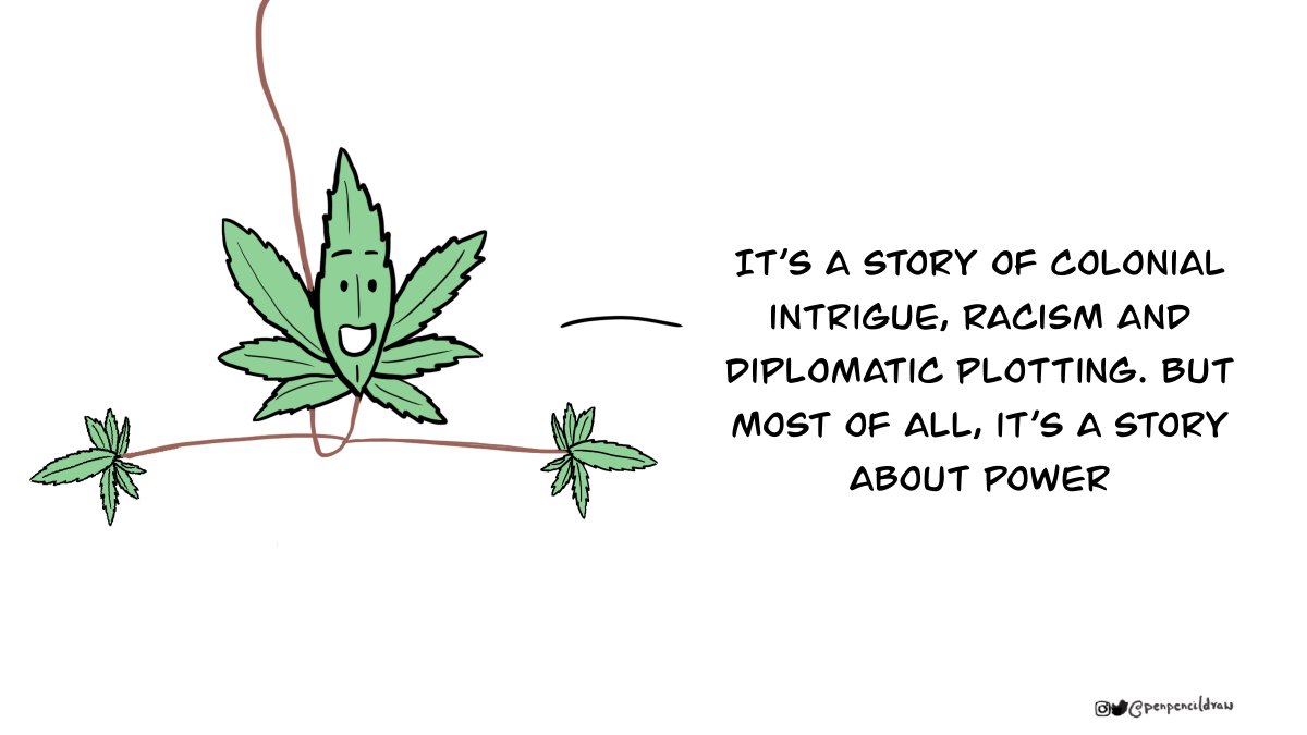 The story of cannabis in India is long and convoluted.