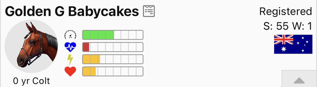 Chestnut Ridge Farm tweet media