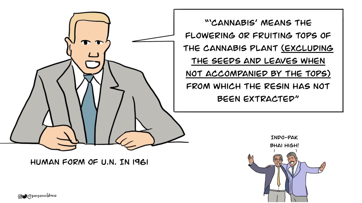 Eventually the UN Single Convention on Narcotic Drugs came about & cannabis was classified with dangerous drugs like heroin. But pressure from countries like India & Pakistan ensured some parts of the plant were protected, and governments were given 25 years to ban other uses.