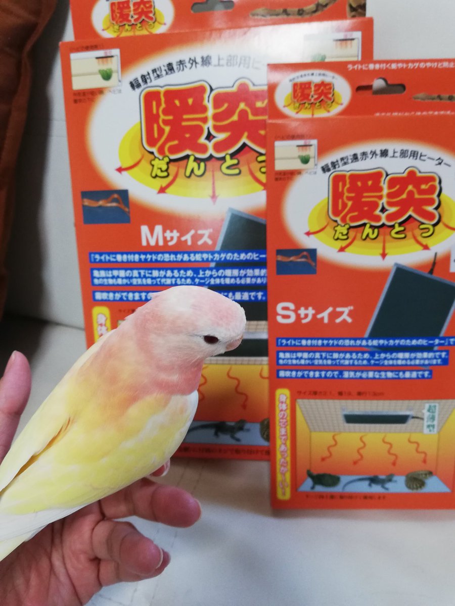 pretty_birs's tweet photo. 今年の買い物で一番でした💗
以前フォロワーさんに教えてもらい、しばらく使用した結果、かなり良かったのでサイズ違いで２つ追加購入♡我が家の場合コザクラには使用方法を工夫すれば問��なさそうです😊💕また追加しよっと♡ https://t.co/AD256hRZGu