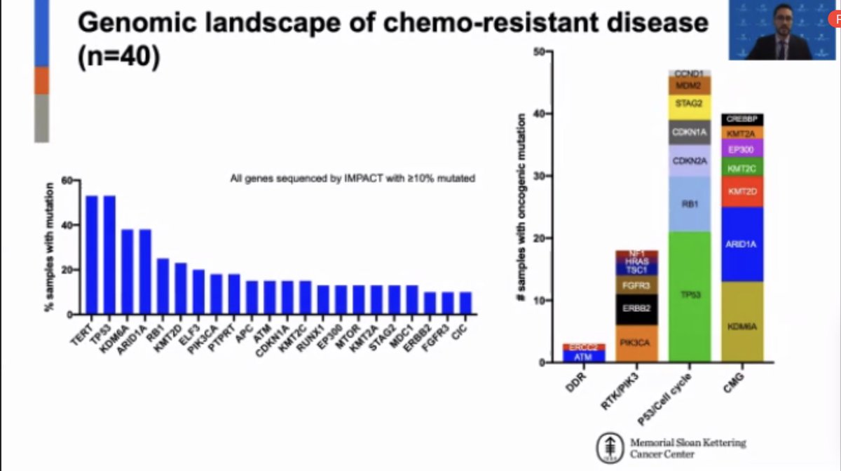 Eugene Pietzak tweet media