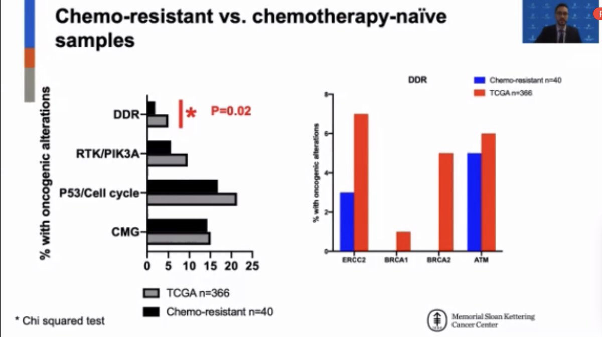 Eugene Pietzak tweet media