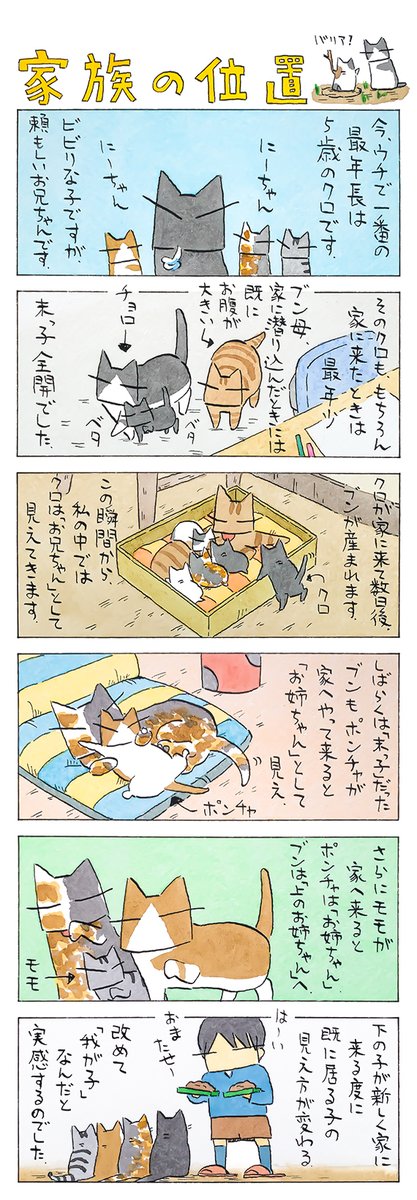 「変化」
いつの間にやらお兄ちゃん。
はっと気付けばお姉ちゃん。
縁が織りなす家族の形。
(久保智昭さんの「猫色スケッチブック」)他一枚更新しています。⇒https://t.co/4hgR32YE7r 