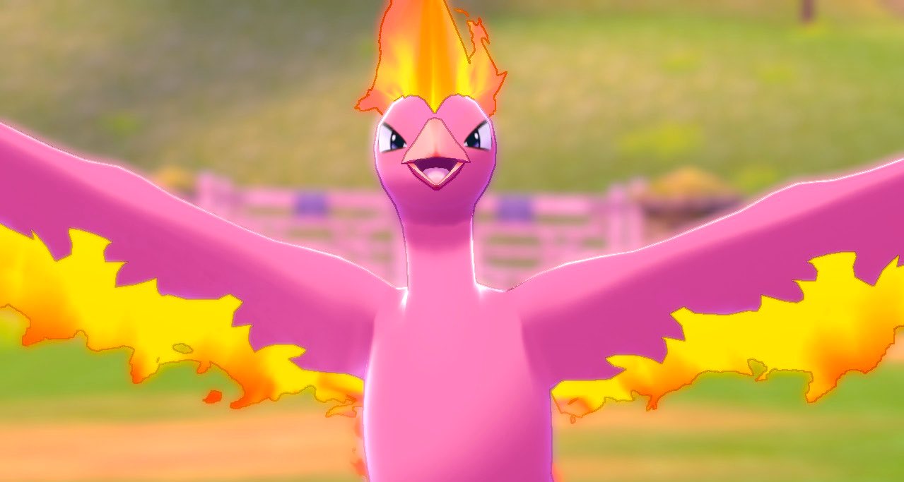 Paldea Transferred My Shiny Moltres From Pokemon Go Into Pkmn Shield Auburn The Shiny Moltres T Co R34ytyfdi7 Twitter