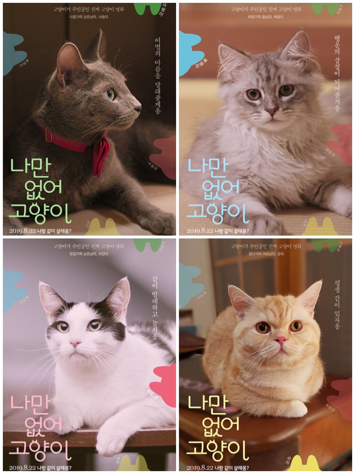 映画三昧 映画のミカタ No Twitter 私と猫のサランヘヨ のむコレで鑑賞 たくさんの猫好き映画好きに観て欲しい優しい作品 韓国版は キャラクターポスターも楽しい T Co 7epjaym9ez Twitter