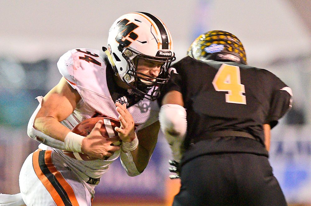 Robin Rudd tweet media