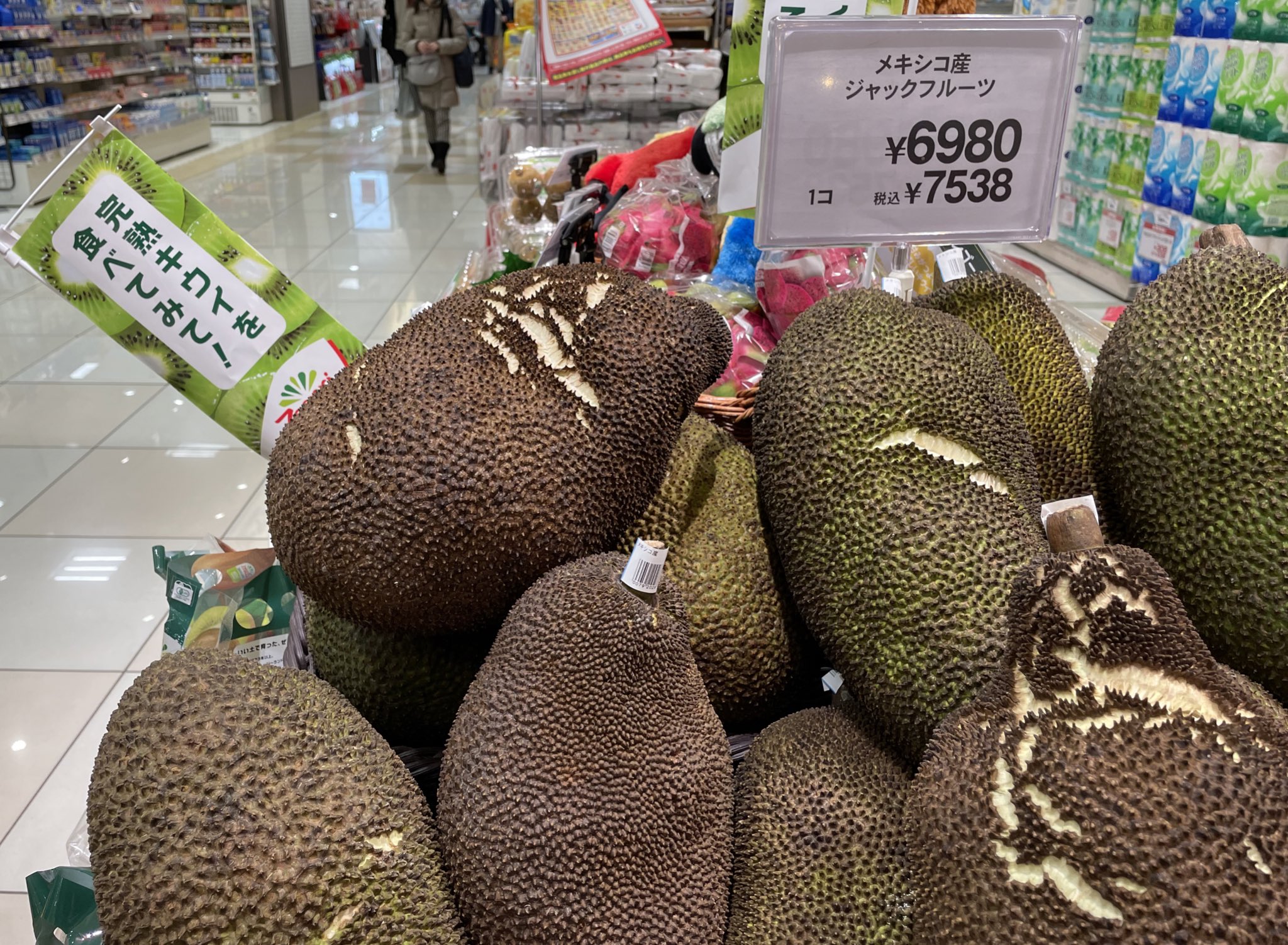 特大！12キロ 波羅蜜 パラミツ ジャックフルーツ 石垣島産 石垣島産 パラミツ ジャックフルーツ 10kgサイズ