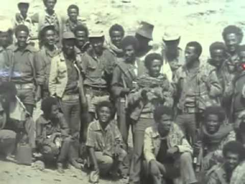 24/In Sep 1943 the Woyane Rebellion erupted in Tigray.It was caused by Selassie’s attempts to weaken the power of the regional nobles by introducing regional administrations.[Tigrayans make up 6% of the pop'n with the Oromo & Amhara at 34% & 27%] https://tigray.net/2012/12/25/first-weyane-rebellion/