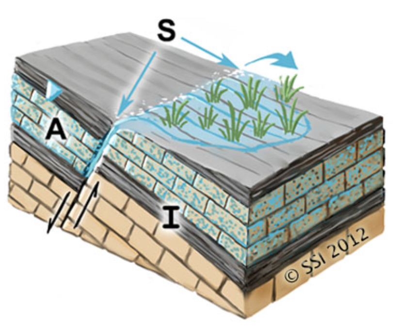 3. Helocrene: Groundwater supported Wetlands. Slow seeping discharge.Unlike the clear deep lakes formed by Limnocrene, these are shallow and chemically loaded.This classification system has a long history culminating in Springer and Stevens (2009)+