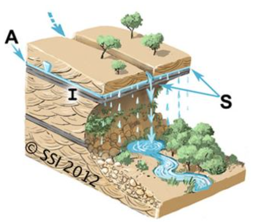 4. Hanging Garden: Groundwater supported seeps along cliff walls.These are often supported by perched aquifers (not the regional water table). All Indian pictures from ACWADAM-IHCAP Springs report. (Here: Unnamed spring from Sikkim) +
