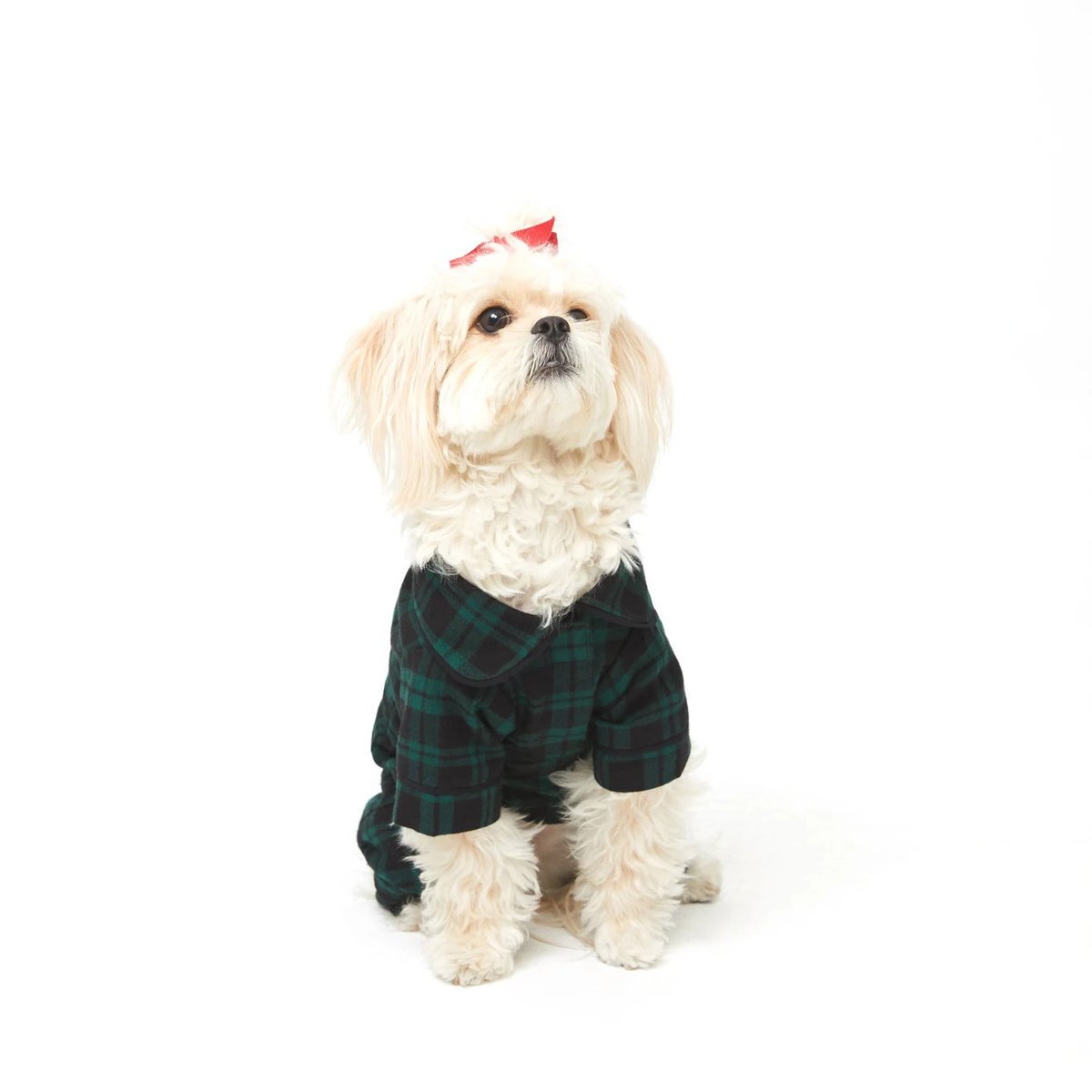 Pamper your favorite pet 🐹 in this green plaid organic cotton #dogcoat. Cut from cozy brushed flannel, it slips over all four legs and secures under the chest for all-day comfort and style as elevated as your own.
#lovedogs #dogfashion #dogs beachlunchlounge.com/products/mabel…
