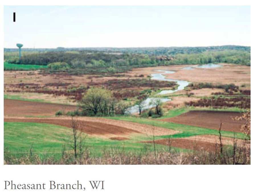 SPRINGS are impressions of the geologic past, profoundly affecting the present, by providing surface water.But do you know the different types of springs? Here's a typology by Spring Stewardship Institute:1. Rheocrene: Groundwater supported streams. Abundant flowing water.+