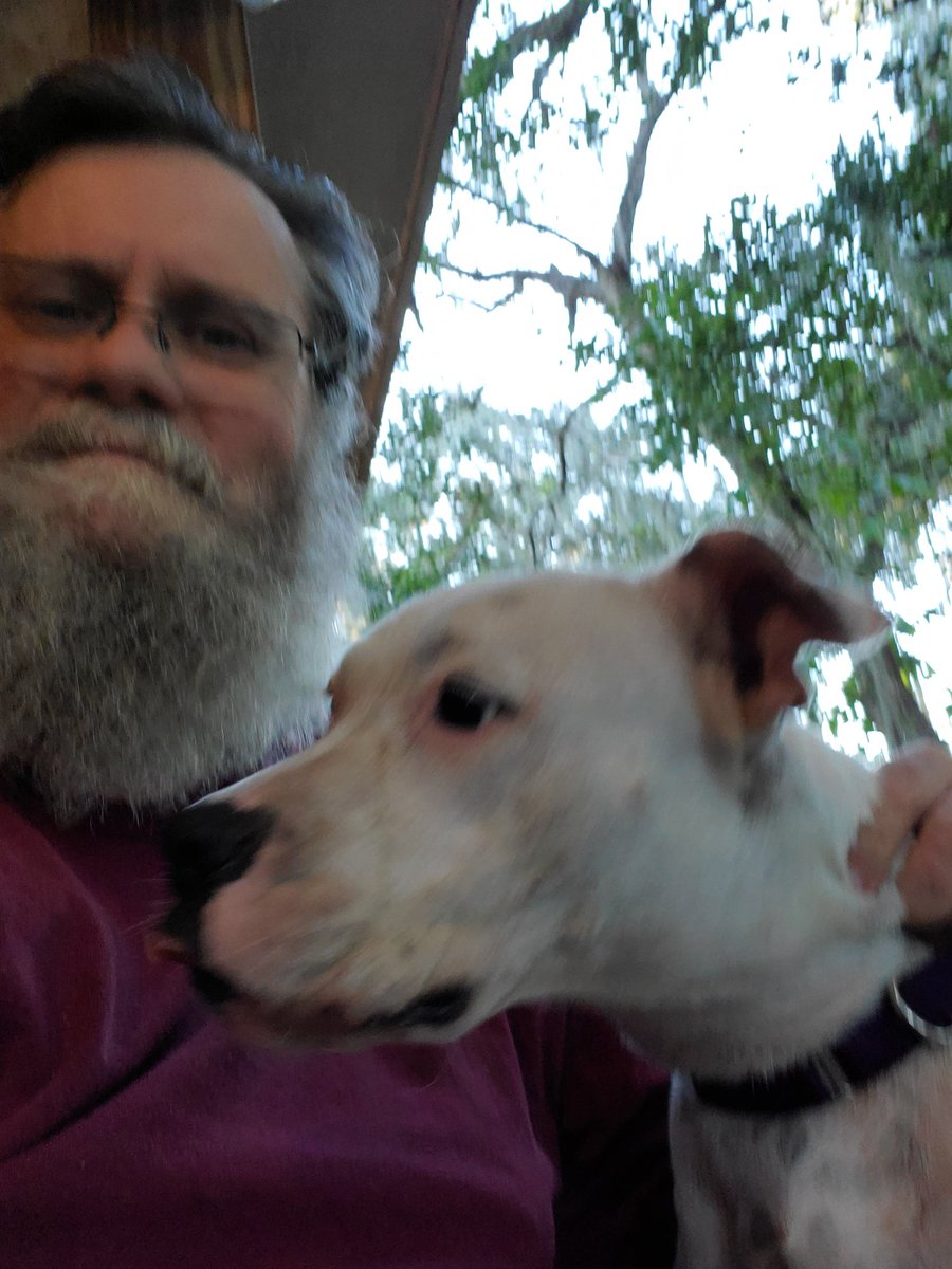 RolandClose's tweet photo. Sadie Mae. She's a delight. Heinz 57. Got her from a pound today. https://t.co/kBl4rWkbMN