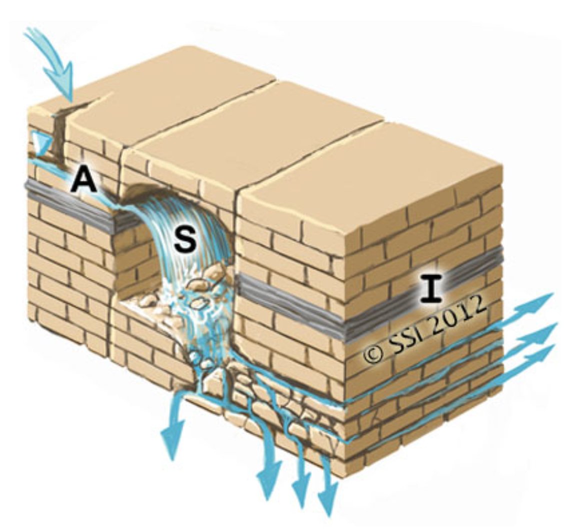 5. Caves: Emergence of water within a cave environment. Lots of speciation due to geographic isolation. Cave springs are the archetype, but other spring types are also great microhabitats. Spring management can stem the ongoing mass extinction.+