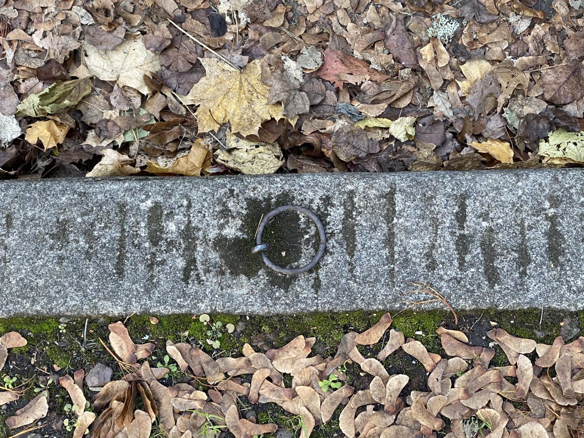 One last note, there are still a few of the old horse rings around here, too. Particularly on SE 37th. Rare to see remnants of the tiny horse project from about a dozen years ago, though there are some (likely replacements).