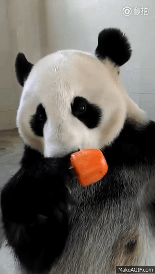 @AngelTemptsYou https://t.co/EdMUC3jJ7g<a class="tags" href="/tag/angeltemptsyou">@angeltemptsyou</a><a href="/tag/wheresmike"class="tags"><span>#wheresmike</span></a>