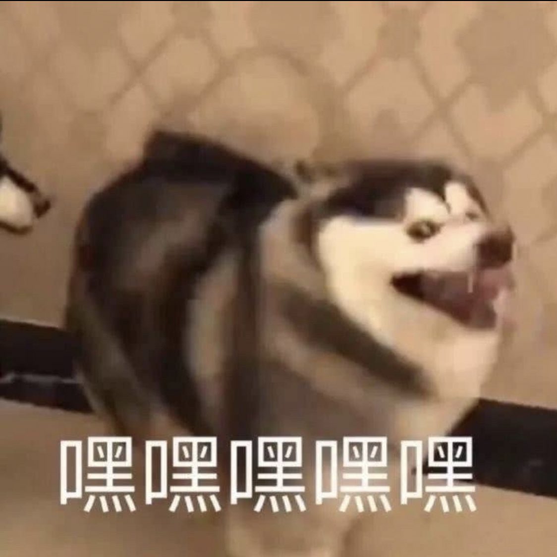 xzhan1005's tweet photo. 201206 Xiaozhan Oasis Update:

“runrunrun!!!” https://t.co/9afTlIVCxL